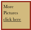 More 
Pictures 
click here