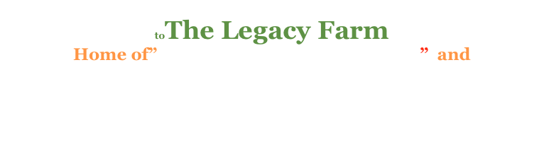 toThe Legacy Farm
Home of” The EXTREME Sock Machine”  and 
a Buckaroo Bags and Wild Rags  b