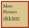 More 
Pictures 
click here
